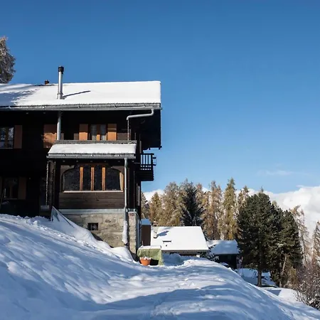 Chalet Typique Et Chaleureux Avec Vue