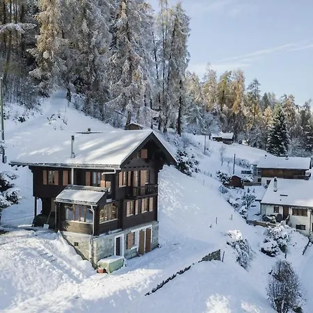 Chalet Typique Et Chaleureux Avec Vue